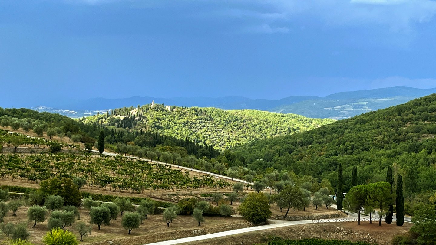 Vigneti e uliveti circondano un borgo su una collina.